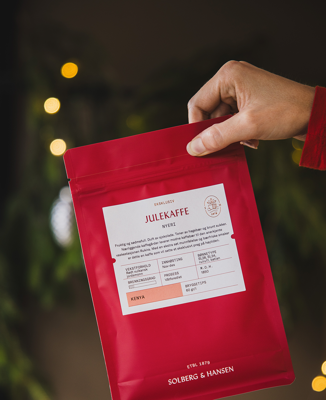 Exclusive Christmas Coffee - Rukira, Kenya