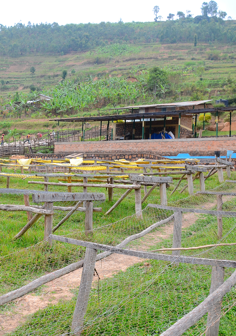 Easter Espresso - Tumba, Rwanda