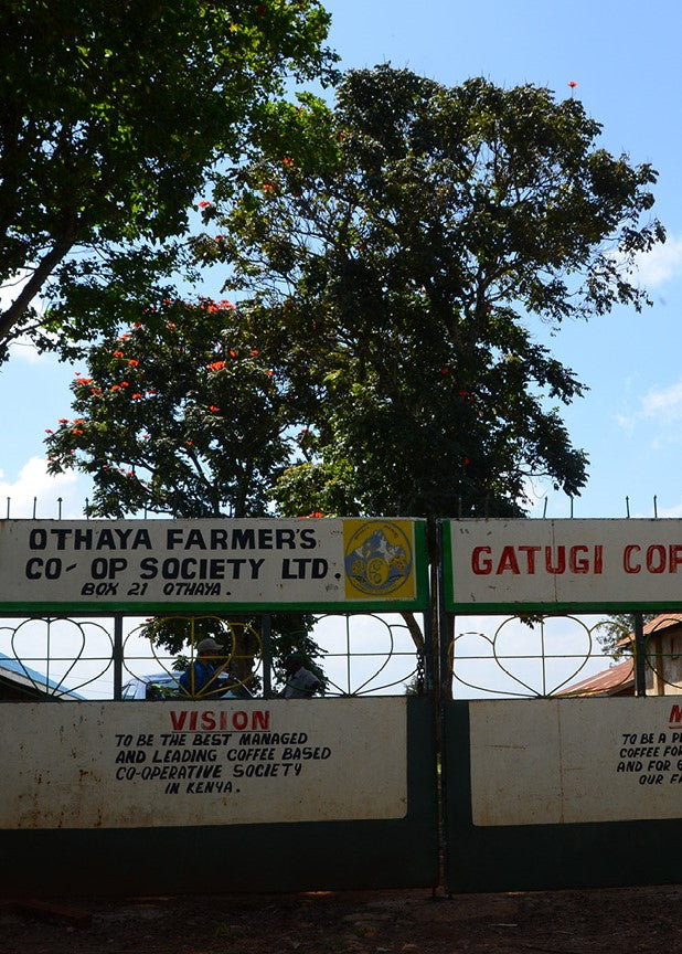 Kenya - Gatugi
