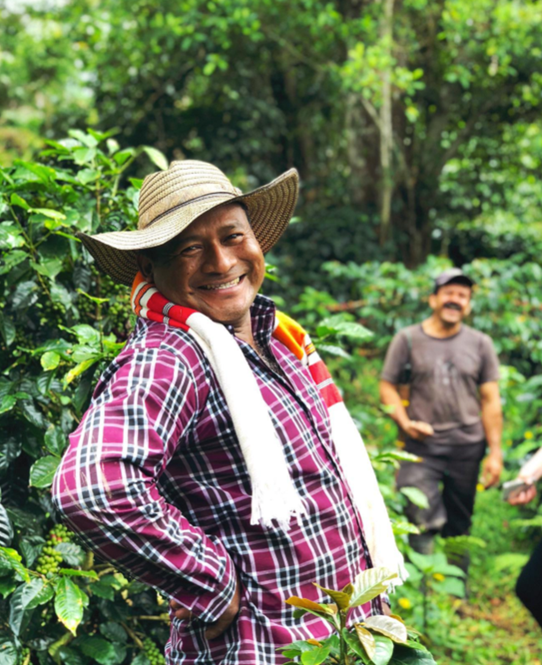 La Trinidad Geisha - El Colegio, Colombia