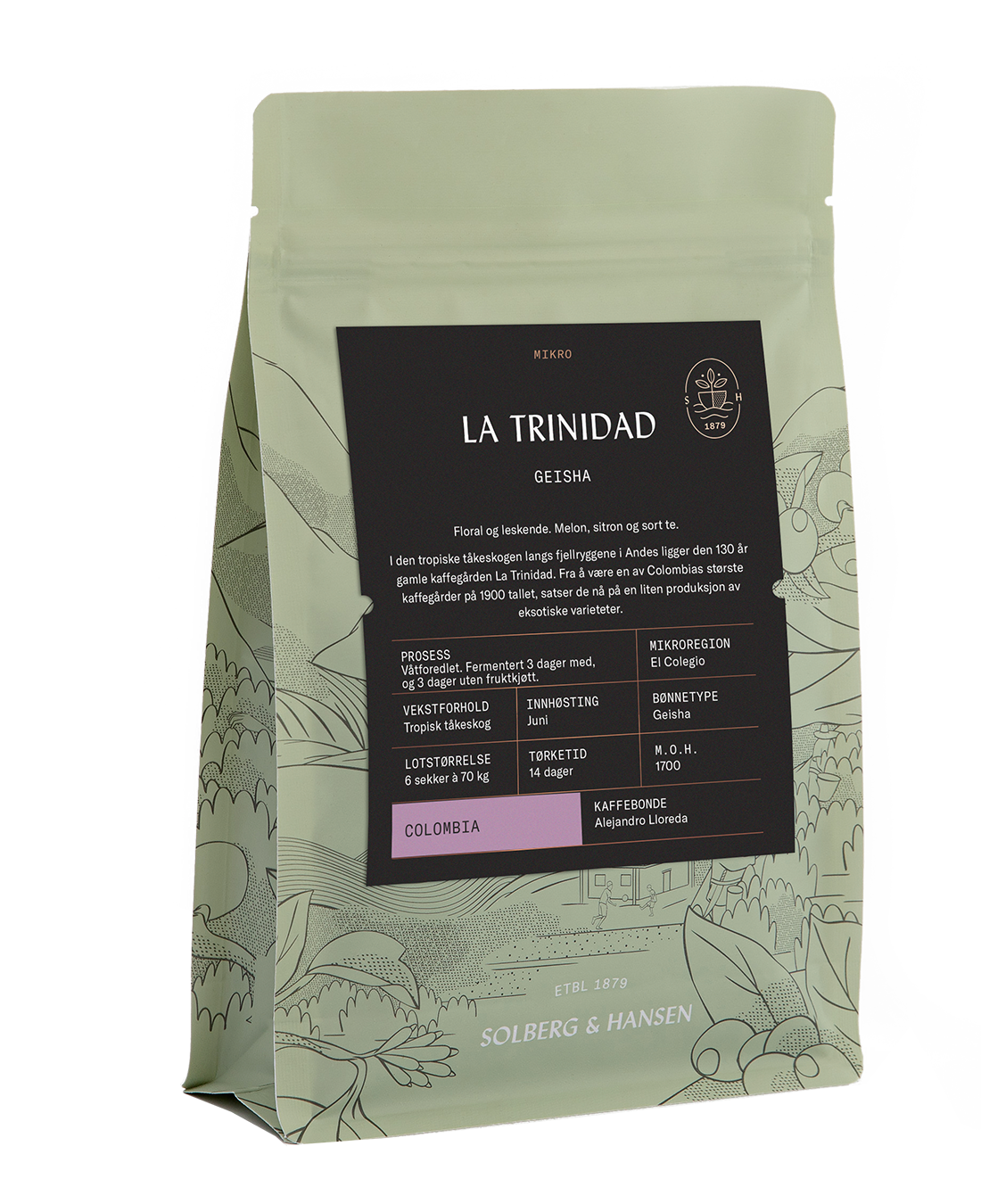 La Trinidad Geisha - Colombia - Whole Bean Filter Coffee - Solberg