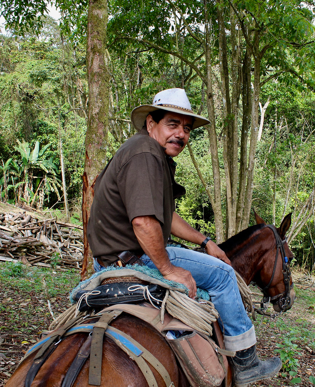La Trinidad Geisha - Colombia