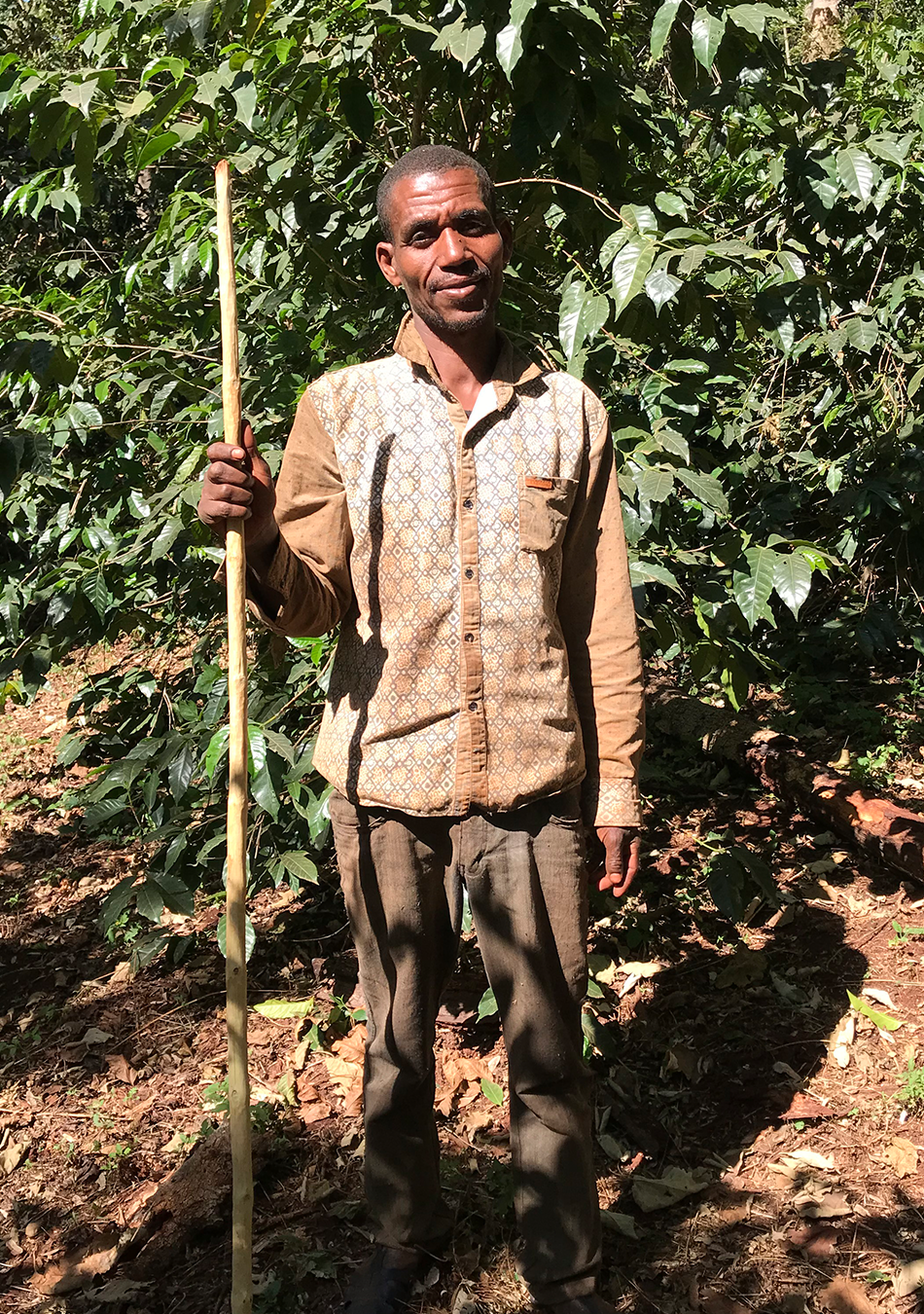 Tade Espresso, Ethiopia