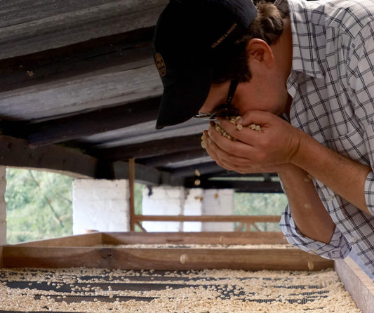 The story of La Trinidad