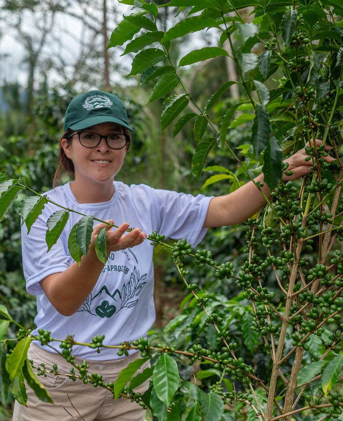 Winter Coffee - Marimar Sanchez, Peru