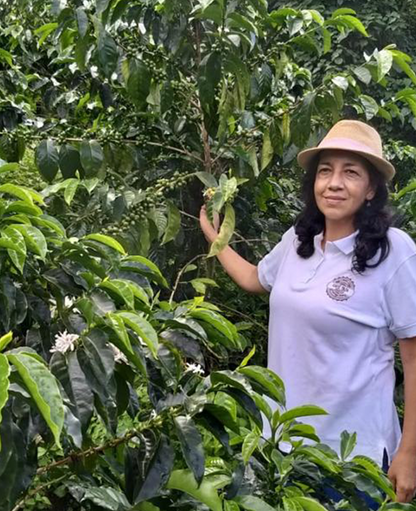 Virgelina Suarez - F8