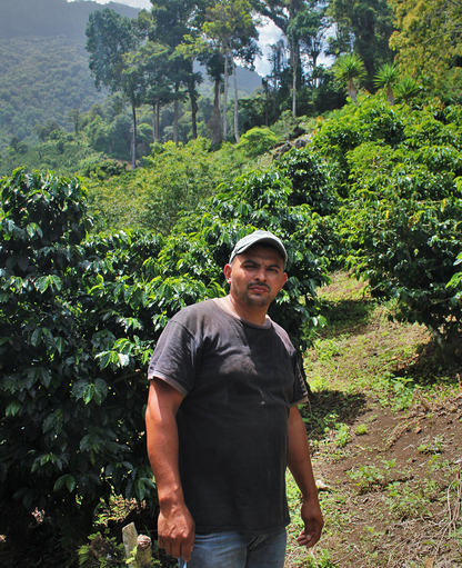 Arianita - Santa Bárbara, Honduras