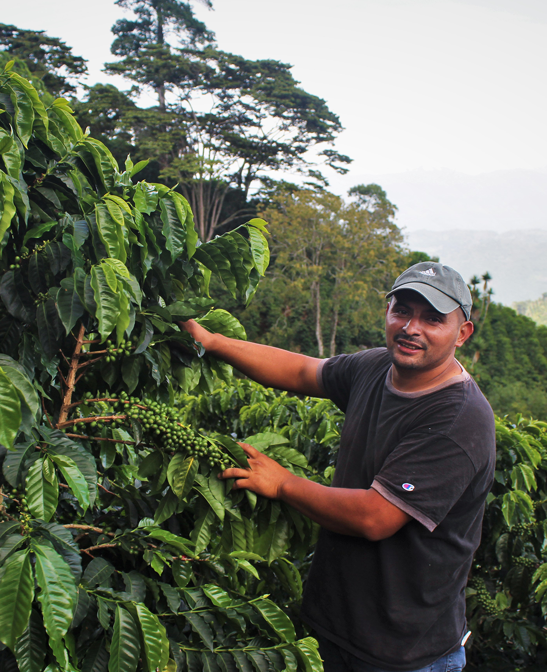 Arianita - Santa Bárbara, Honduras