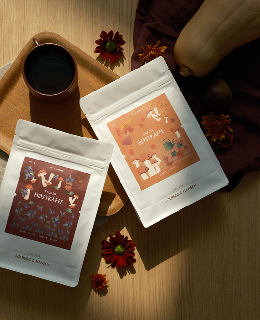 Autumn Coffee - Benoli, Ethiopia