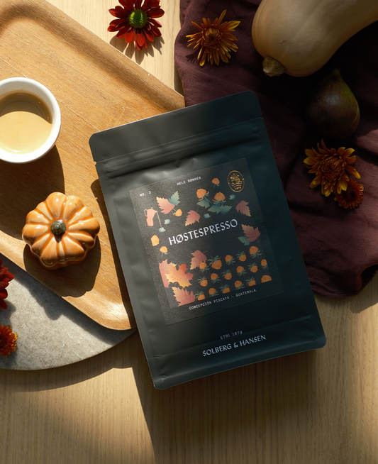 Autumn Espresso - Concepción Pixcayá, Guatemala