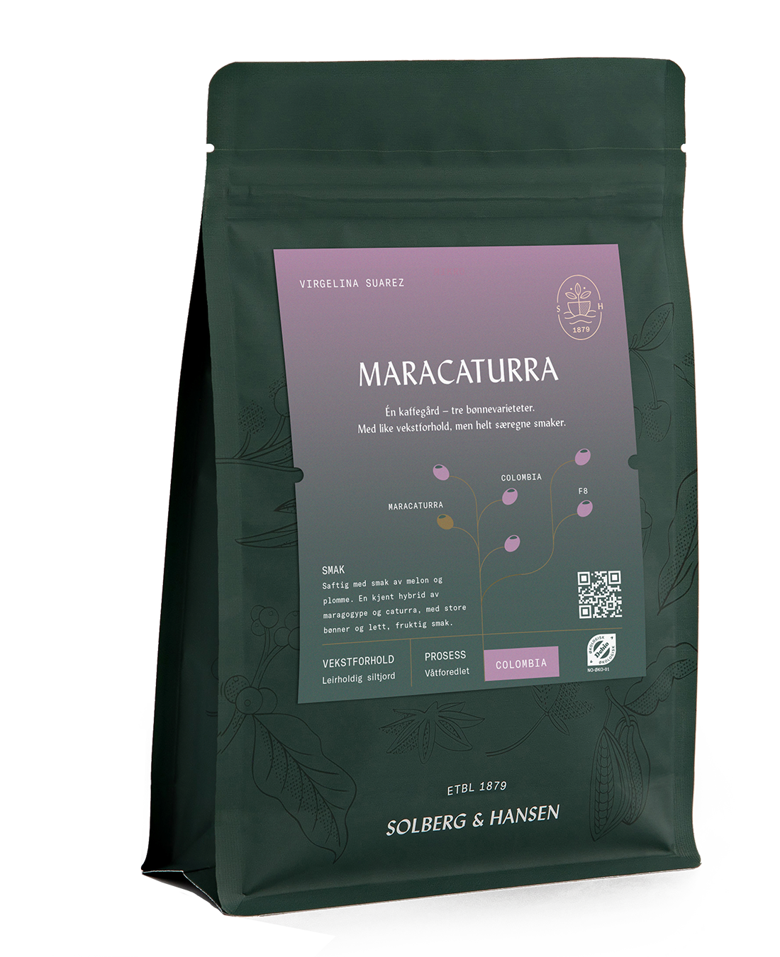 Virgelina Suarez - Maracaturra