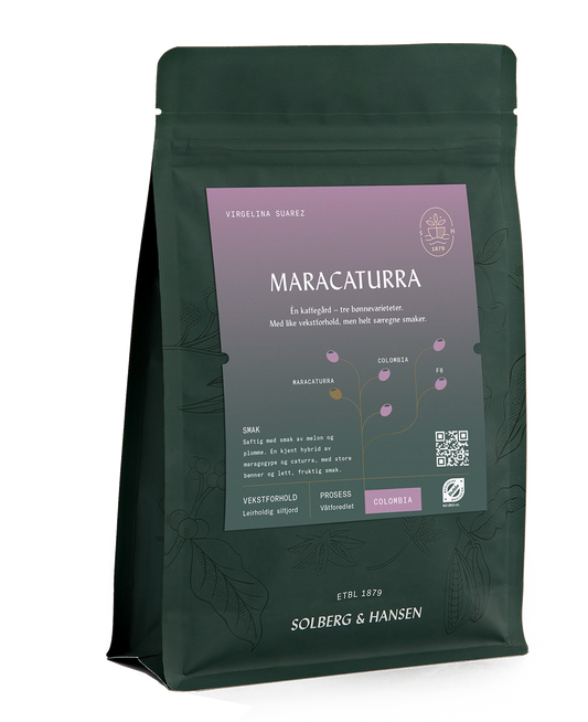 Virgelina Suarez - Maracaturra