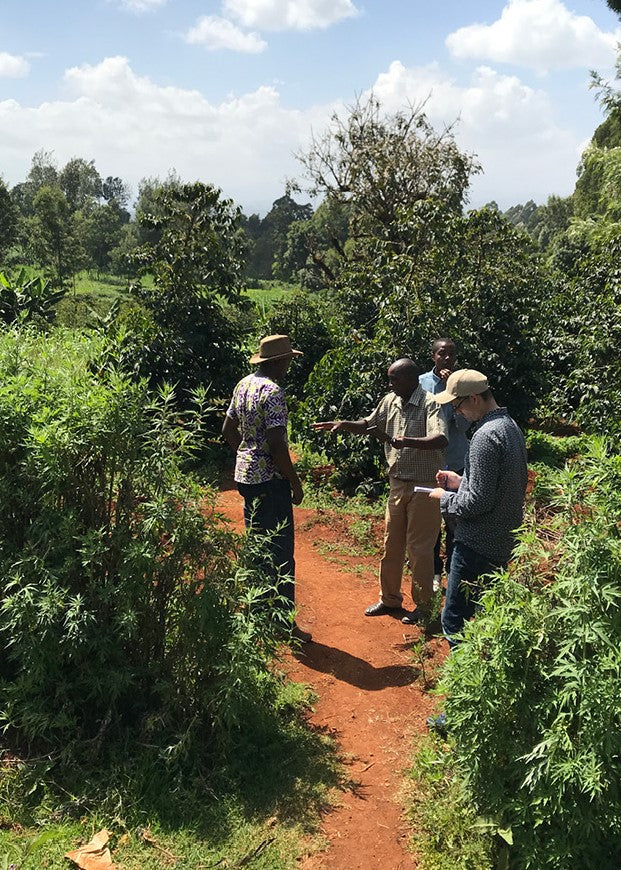 Gatugi Natural - Nyeri, Kenya