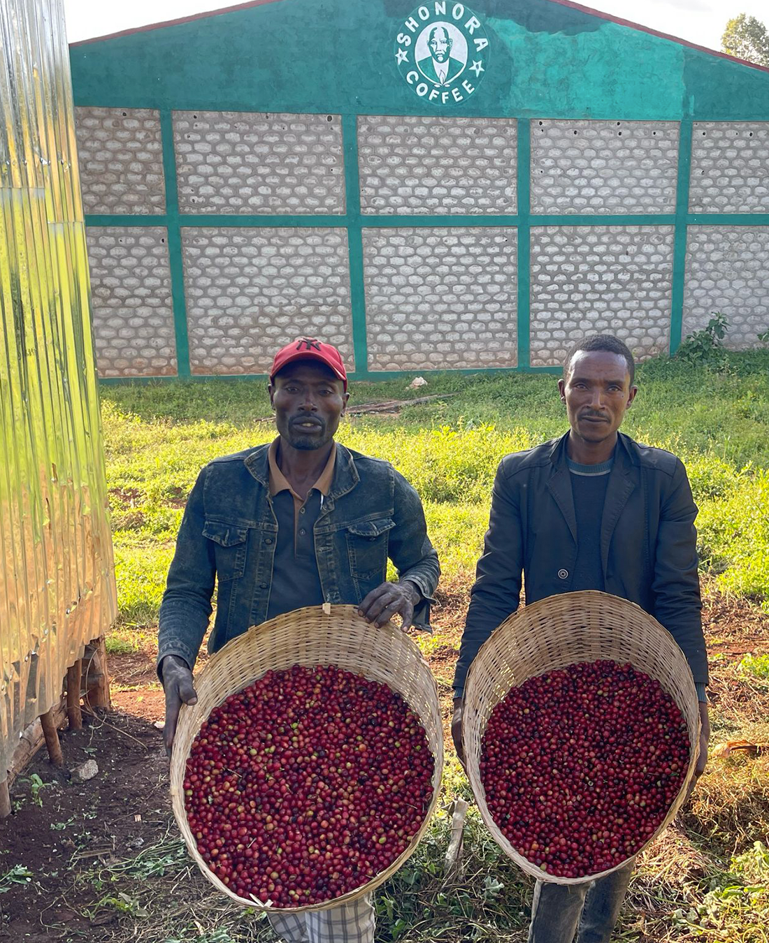 Gerba Dogo Natural - Guji, Ethiopia