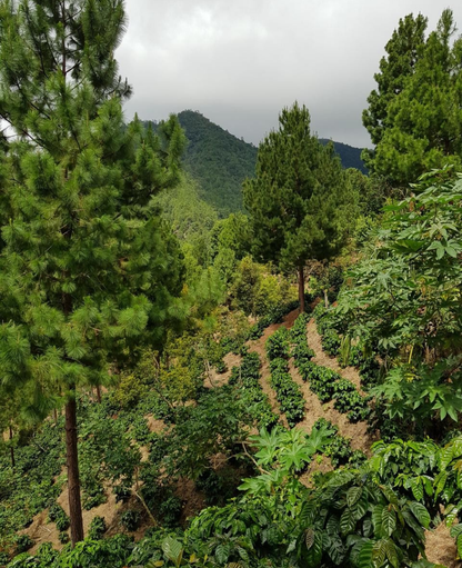La Bendición - Nueva Segovia, Nicaragua