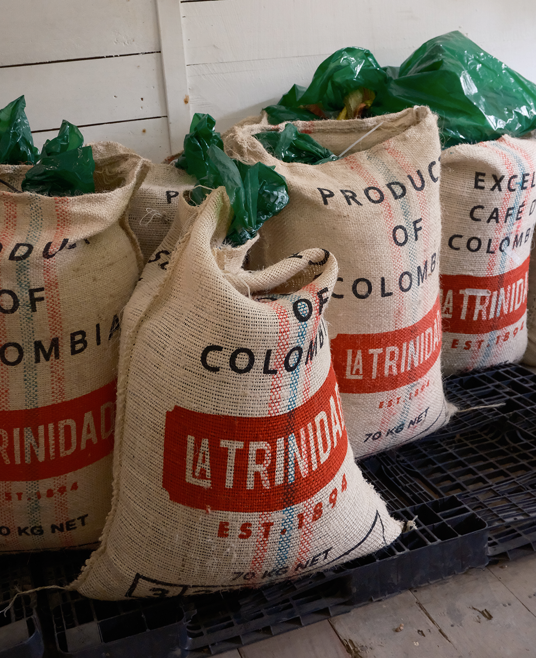La Trinidad Geisha - Colombia - Whole Bean Filter Coffee - Solberg La Trinidad Geisha - Colombia - Whole Bean Filter Coffee - Solberg