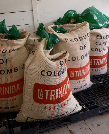 La Trinidad Geisha - Colombia