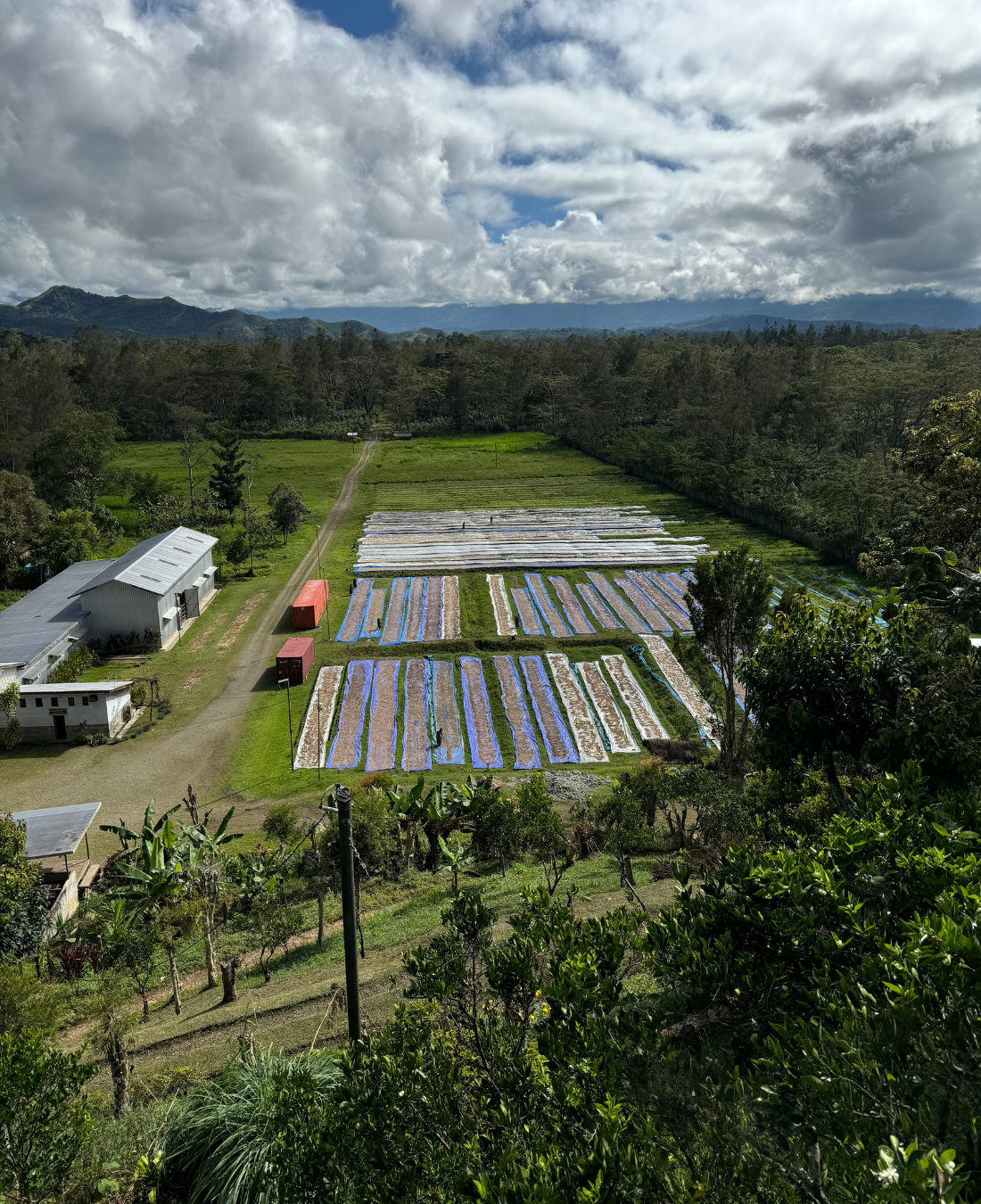 Papua New Guinea - Madan Estate