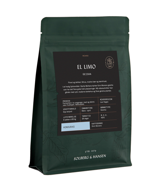 El Limo Geisha - Honduras