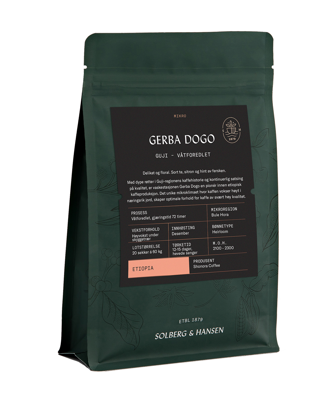 Gerba Dogo Washed - Guji, Ethiopia