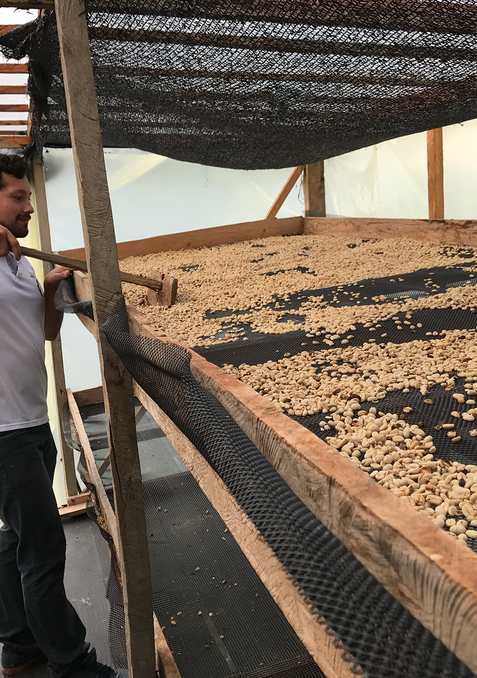 Planadas Espresso - Tolima, Colombia